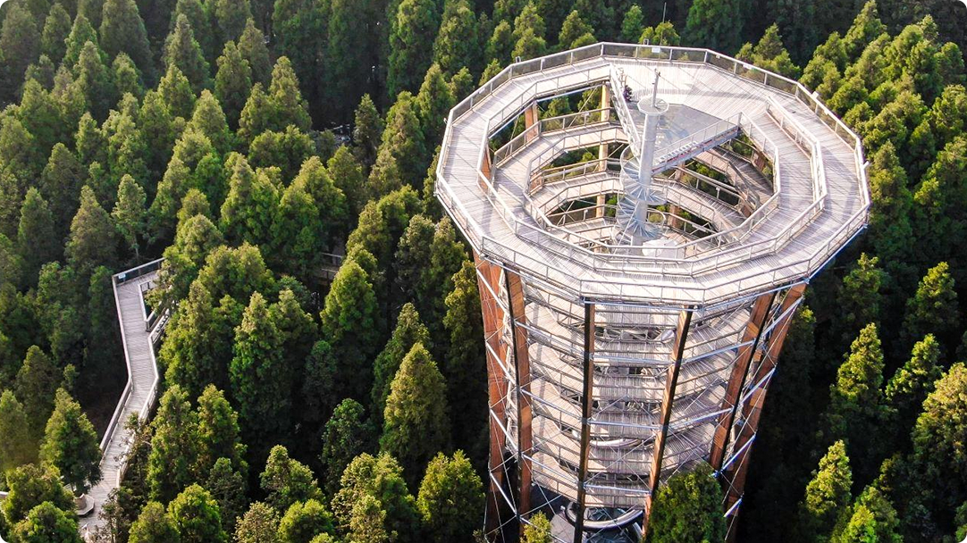 Núi Xiannv - Tree Top Walk, Trùng Khánh